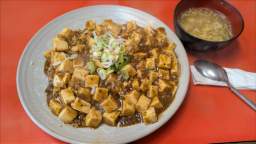 2025-11-08 13.17.25.JPG